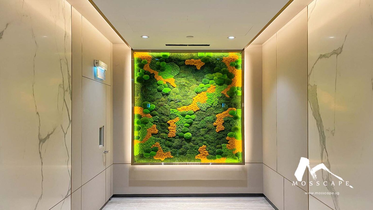 Biophilic Interior Designs Bring Nature Indoors In Singapore