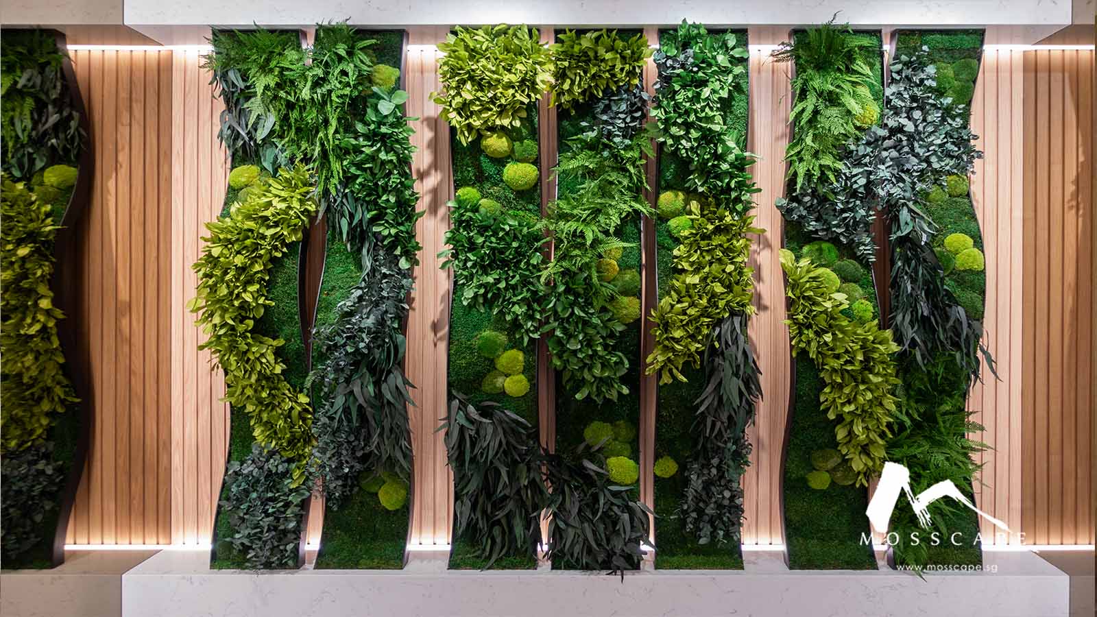 Vertical Green Wall in Singapore