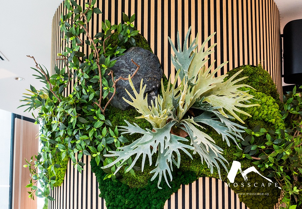 Singapore Green Wall Suppliers | Complete Buyer Guide
