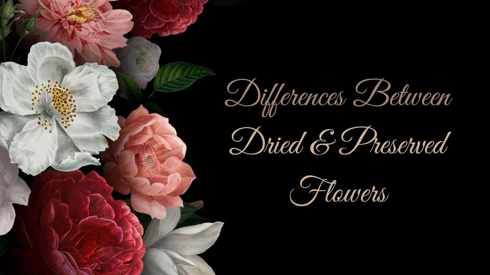 Flowers with text "Differences Between Dried and Preserved Flowers"