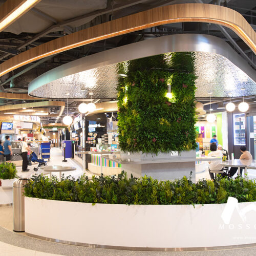 Indoor Green Wall at Woodleigh Mall