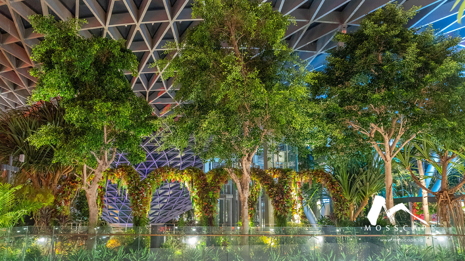 Indoor vertical garden mix in Jewel Changi
