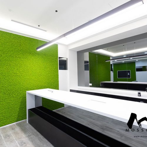 Moss Wall at Office @ Marina One