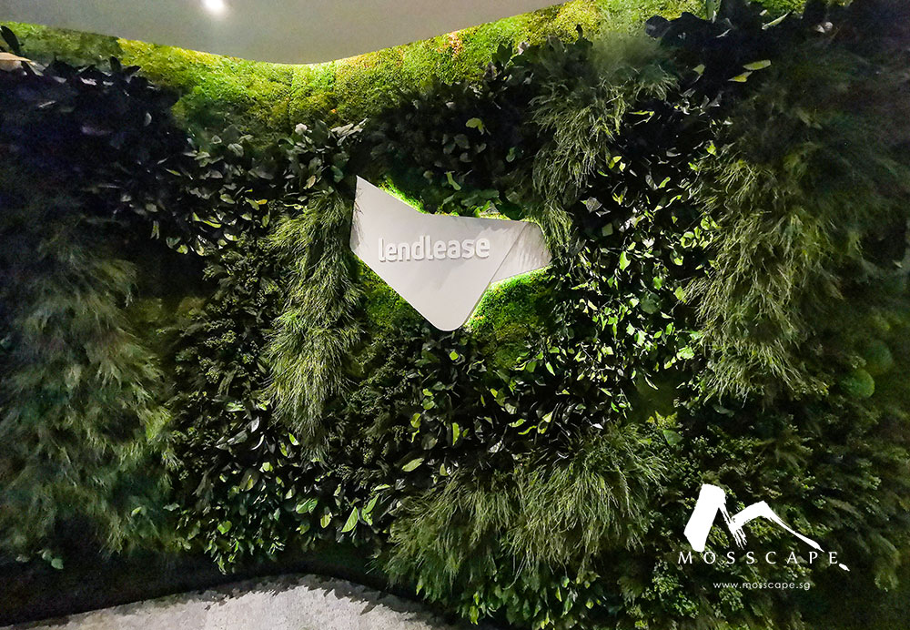 Preserved green wall at the entrance of Lendlease office