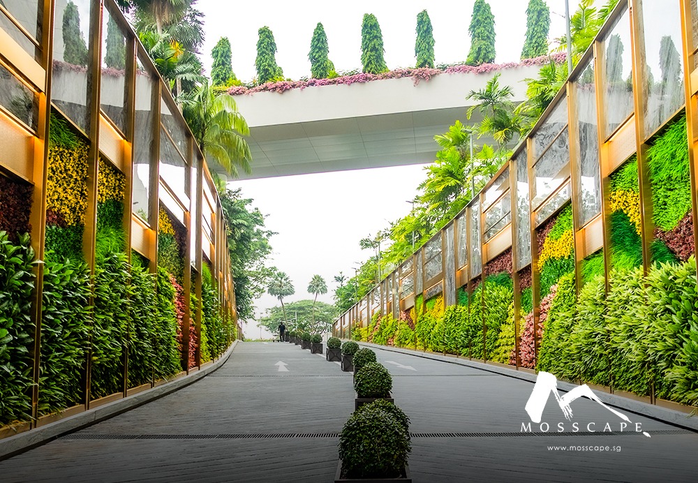 Moss Wall Singapore: A Complete Guide to Natural & Artificial Green Walls