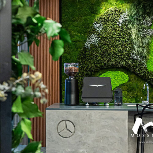 Preserved moss and foliages in Mercedes showroom at Great World