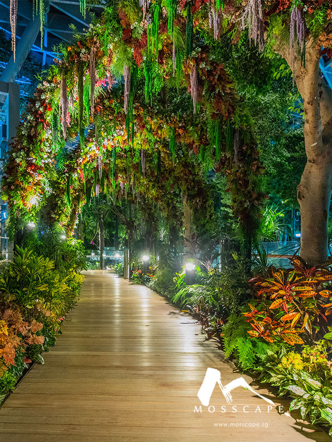 Picturesque garden walkway in Jewel Changi