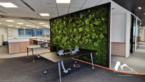 Preserved green wall in an office